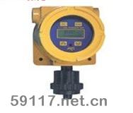 D12D有毒/可燃?xì)怏w檢測(cè)儀