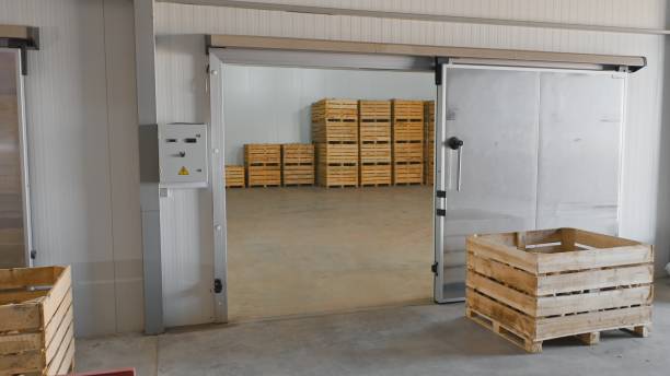 Beneath the Frost: Engineering Effective Cold Storage Warehousing