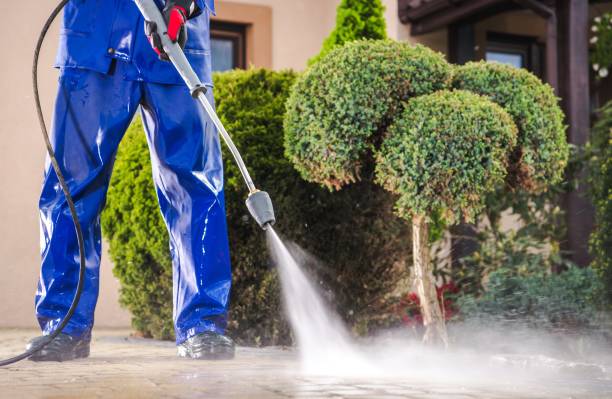 Experience the Magic of Clean with Our Top-Rated Pressure Washing Services