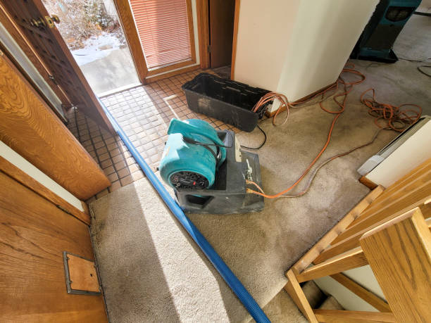 Expert Insights on Water Damage Restoration Techniques